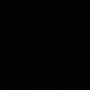 Meet your Posher, Faith